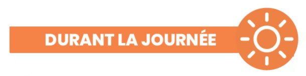 Durant la journée