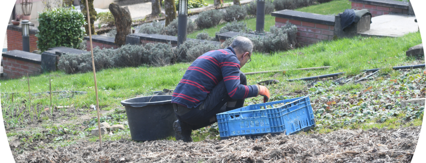 Personne occupée dans le cadre de l'activité jardinage et bois