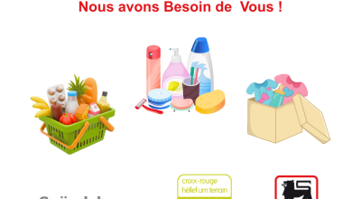 Action Delhaize, panier de courses, produits d'hygiène, produits bébé