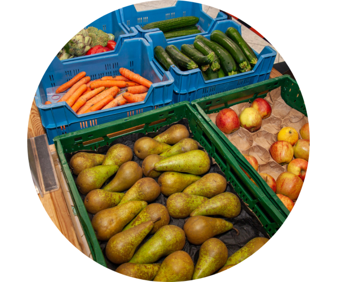 Activités de l'épicerie sociale