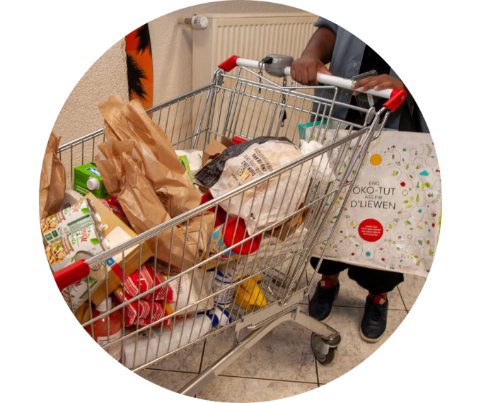 Activités de l'épicerie sociale