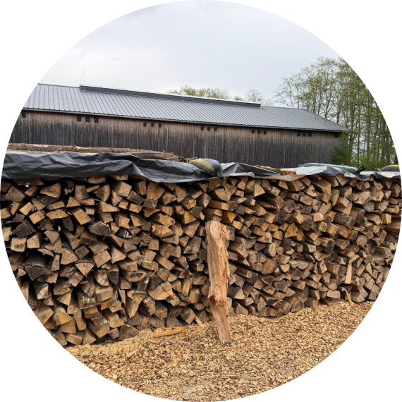activité jardinage et bois