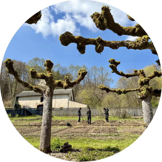 Personnes occupées dans le cadre de l'activité jardinage et bois