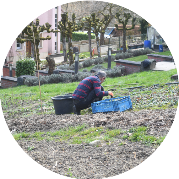 Personne occupée dans le cadre de l'activité jardinage et bois