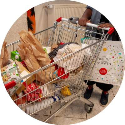 Caddie de l'épicerie sociale
